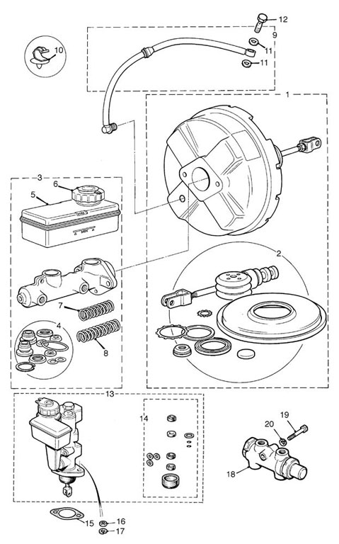 sparescat6-37.jpg