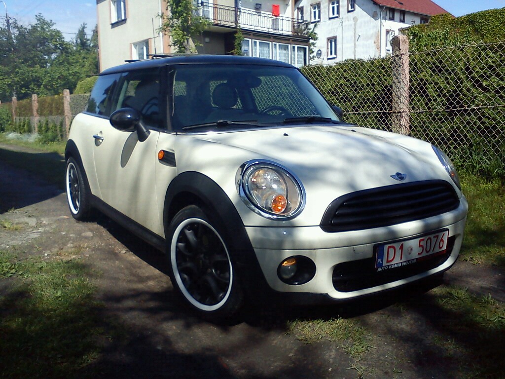 mms_img62051.jpg