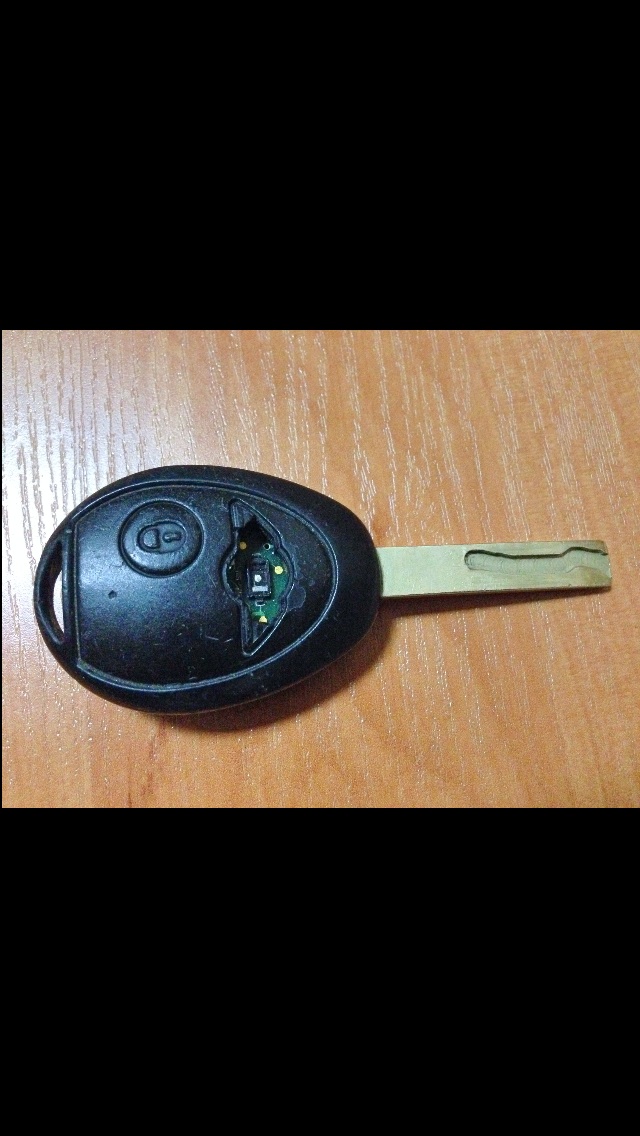 image.jpg