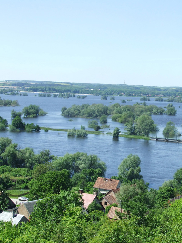 Zatoń i niemieckie poldery.jpg