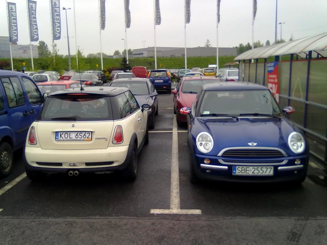 20100504046.jpg